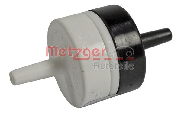0892222 METZGER: METZGER - 0892222