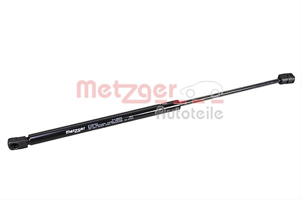 2110702 METZGER: METZGER - 2110702