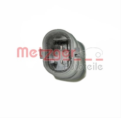 0899135 METZGER: METZGER - 0899135
