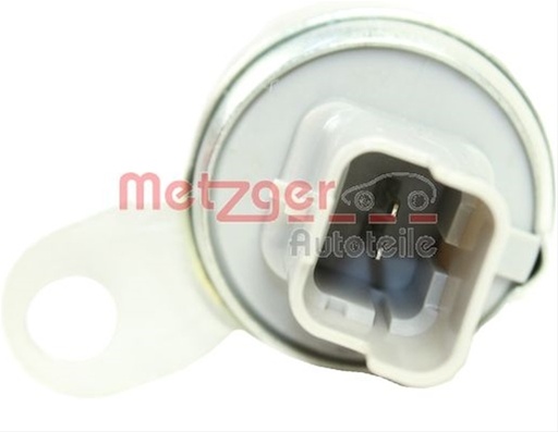 0899145 METZGER: METZGER - 0899145