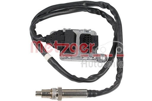 0899318 METZGER: METZGER - 0899318