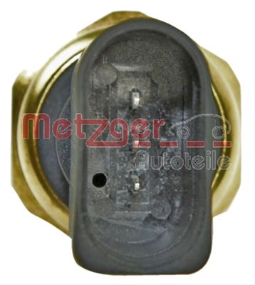 0906325 METZGER: METZGER - 0906325