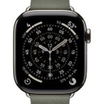 Apple Watch 42mm Sage Gray Modern Buckle - Medium