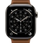 Apple Watch 42mm Caramel Magnetic Link - S/M