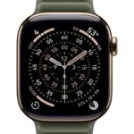 Apple Watch 42mm Sage Gray Magnetic Link - S/M
