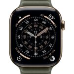 Apple Watch 46mm Sage Gray Magnetic Link - S/M