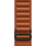 Apple Watch 49mm Terra Cotta Alpine Loop - Large - Black Titanium Finish