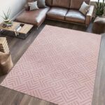 COVOR BLANITA DOVER 160X230 CM ROSE - Image 2