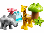 10971 Wild Animals of Africa V29