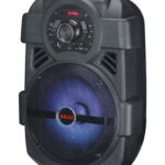 Boxa portabila activa Akai ABTS-808L, 10 W, Bluetooth, USB, Aux in, radio FM, digital karaoke, negru, microfon