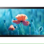 Monitor Touch SAMSUNG QB13R-T, 13", 500nit, 16/7, FHD, E-LED, 8ms, contrast static 600:1, mătuire 10%, Tizen 4.0, MagicINFO S6, CPU A72*4, RAM 2.5GB, stocare 8GB. Temperature sensor, auto source switching & recovery, Button Lock, Hot key option, Plug&Play. Conectivitate: WiFi, 1xHDMI1.4, HDCP2.2