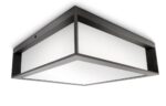 Plafoniera pentru exterior Philips Skies, 2xE27, max 2x14W LED, IP44,260x260x81mm, Antracit