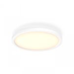 Plafoniera LED Philips Hue Aurelle, Bluetooth, 21W, 2450 lm, luminaalba(2200-6500K), IP20, 39.5cm, Aluminiu, Alb, Intrerupator cu va riatorinclus