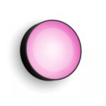 Aplica LED RGB pentru exterior Philips Hue Daylo, 15W (80W), 1050 lm ,lumina alba si color (2000-6500K), IP44, 220x76mm, Negru
