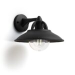 Aplica tip felinar pentru exterior Philips Cormorant, 1xE27, max 42W ,IP44, 250x266x207mm, Negru