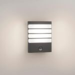 Aplica LED pentru exterior cu senzor de miscare Philips Raccoon,3W(30W), 400 lm, lumina calda (2700K), IP44, 75x162x205mm, Antracit