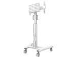 Stand podea mobil Neomounts 37"-75", VESA 100x100~600x400, 70kg, fix, inaltime reglabila, alb - Image 3