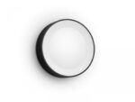 Aplica LED RGB pentru exterior Philips Hue Daylo, 15W (80W), 1050 lm ,lumina alba si color (2000-6500K), IP44, 220x76mm, Negru - Image 2