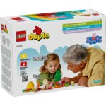 EXCURSIE CU CORTUL, LEGO 10452 - Image 3