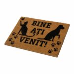 COVORAS INTRARE ANTIDERAPANT 60X40 CM, PAWS, HEINNER HOME - Image 3