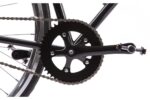 PEGAS CLASIC 2S BULL LADY 50CM NEGRU - Image 7