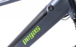 Bicicleta MTB Pegas Drumet Dinamic E-Bike. Gri Mat - Image 8