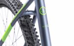 Bicicleta MTB Pegas Drumet Dinamic E-Bike. Gri Mat - Image 15