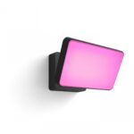 Proiector LED RGB inteligent Philips Hue Discover, 2x15W, 2300 lm ,luminaalba si color (2000-6500K), IP44, 160x220x153mm, Negru