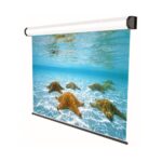 Ecran de proiectie electric, cu prindere in tavan/perete Sopar Professional, format 4:3, suprafata de proiectie 350x265 cm, diagonala 173 inch, unghi de vizionare 150°, tip panza alba (fata) neagra (spate), din aluminiu