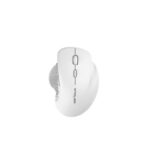 Mouse Serioux Glide 515 Wireless, Alb, Senzor: Optic, DPI: 800/ 1200/ 1600, conexiune: Dongle USB 2,4 GHz, banda de frecventa: 2,4 GHz, click silentios, design ergonomic, alimentare: 1 baterie AA inclusa, 1,5 V, cerințe OS: Win, Mac, Vista