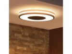 Plafoniera LED Philips Hue Being, Bluetooth, 22.5W (204W), 2500 lm ,lumina alba (2200-6500K), 34.8cm, Metal/Plastic, Negru, Intrerupator cuvariator inclus - Image 2