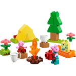 EXCURSIE CU CORTUL, LEGO 10452 - Image 6