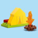 EXCURSIE CU CORTUL, LEGO 10452 - Image 4