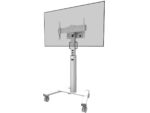 Stand podea mobil Neomounts 37"-75", VESA 100x100~600x400, 70kg, fix, inaltime reglabila, alb