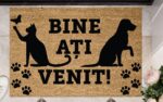 COVORAS INTRARE ANTIDERAPANT 60X40 CM, PAWS, HEINNER HOME - Image 4