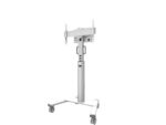 Stand podea mobil Neomounts 37"-75", VESA 100x100~600x400, 70kg, fix, inaltime reglabila, alb - Image 4