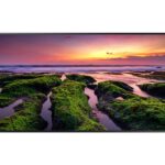 Monitor signage SAMSUNG QM98T, 98", 500nit, 24/7, UHD, mătuire 25%, Tizen 4.0, VXT CMS, stocare 16GB. Temperature sensor, Video Wall Daisy Chain 15x15, FHD 4 PBP Support, auto source switching & recovery, Button Lock, Hot key option, Plug&Play. Conectivitate: WiFi, BT, 1xDVI, 1xDP, 2xHDMI2.0