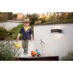 Aplica pentru exterior Philips Hedgehog, 1xE27, max 42W, IP44 ,182x160x91mm, Antracit - Image 3