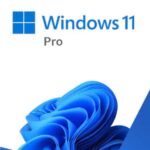 Licenta retail Microsoft Windows 11 Pro 32-bit/64-bit Electronic Software Download All Lng