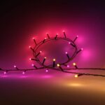 Ghirlanda inteligenta LED RGB Philips Hue Festavia, 250 LED-uri , 24V ,14W, lumina alba si color (2000-6500K), 20m, IP44, Negru - Image 3