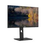 Monitor Dahua 24" DHI-LM24-P301A - Image 3