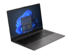 Laptop SMB HP 250R G10, cu procesor Intel Core 3 100U, 15.6'' TN, 8 GB DDR4, 512 GB, Intel Graphics, Fara OS, 1 an Garantie - Image 2