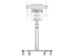 Stand podea mobil Neomounts 37"-75", VESA 100x100~600x400, 70kg, fix, inaltime reglabila, alb - Image 8