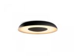 Plafoniera LED Philips Hue Still, Bluetooth, 22.5W (204W), 2500 lm ,lumina alba (2200-6500K), IP20, Metal/Plastic, 39.1cm, Negru, Intrerupator cu variator inclus